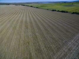 cultivado tierra, aéreo vista, la pampa, argentina foto