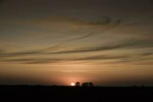 puesta de sol en las pampa, argentina foto