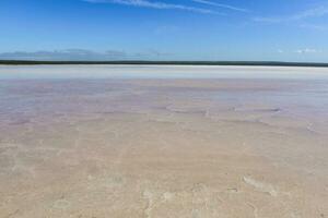 Salt field in Dunaliella Salina, Argentina photo