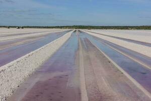 Salt field in Dunaliella Salina, Argentina photo