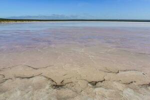 Salt field in Dunaliella Salina, Argentina photo