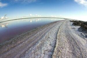 Salt field in Dunaliella Salina, Argentina photo