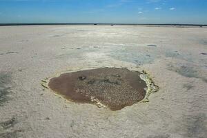 Salt field in Dunaliella Salina, Argentina photo