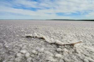 Salt field in Dunaliella Salina, Argentina photo