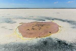 Salt field in Dunaliella Salina, Argentina photo