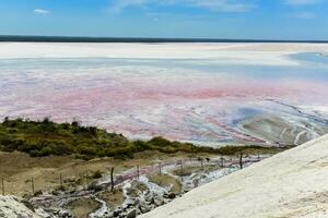 Salt field in Dunaliella Salina, Argentina photo