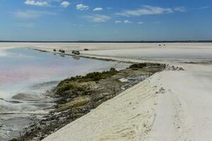 Salt field in Dunaliella Salina, Argentina photo