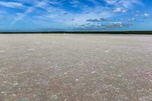 Salt field in Dunaliella Salina, Argentina photo