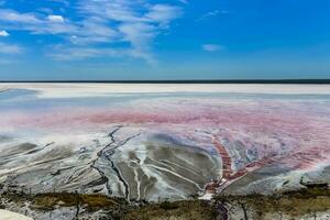 Salt field in Dunaliella Salina, Argentina photo