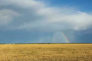 Rainbow over the trees photo