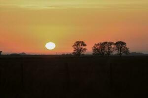 Landscape Las Pampas, Argentina photo