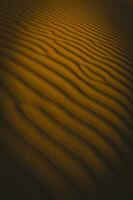 Sand dunes in Las Pampas, Argentina photo