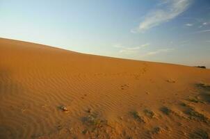 arena dunas en la pampa, argentina foto