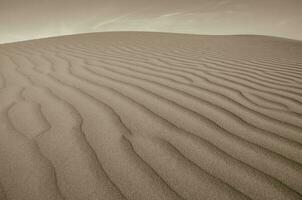Sand Dunes in La Pampa, Argentina photo