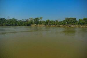 Brazilian Pantanal landscape view photo