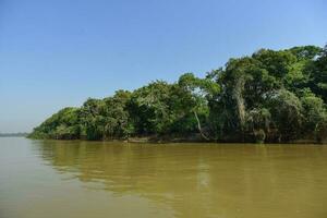 Brazilian Pantanal landscape view photo