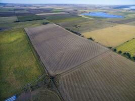 Cultivated land, aerial view, La Pampa, Argentina photo