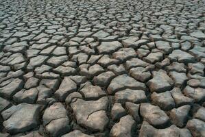 Mud cracks and dry soil photo