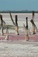 Salt field in Argentina photo