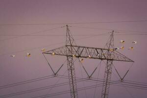 a field with tall grass and power lines photo