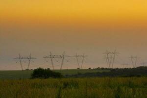 a field with tall grass and power lines photo