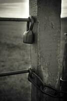 a black and white photo of a lock on a fence