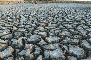 a close up of a cracked surface with some dirt photo