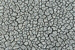 a close up of a cracked surface with some dirt photo