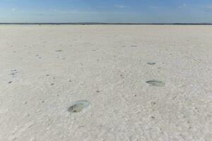 a large area of salt with small rocks photo