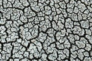 a close up of a cracked surface with some dirt photo