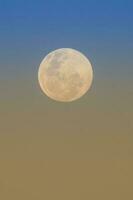 Moon reflections close-up photo