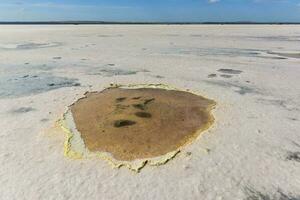 Salt field in Dunaliella Salina, Argentina photo