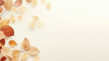 Autumn minimalist beige background photo