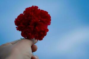 A man's hand holding a red flower rises up in the sky. photo