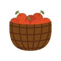 Apples in a basket vector illustration. harvest season