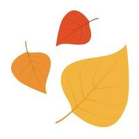 Autumn birch leaves. Flat vector illustration