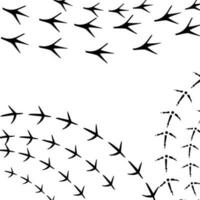 pattern with traces of various animals and birds. vector