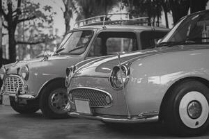 classic car black and white at park photo