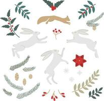 Set of different natural elements for Christmas vector