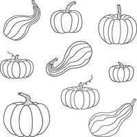 A black and white doodle-style pumpkin set vector