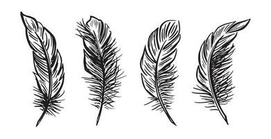 Feather Set hand drawn illustrations. vector