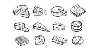 Cheese collection. Hand drawn illustration. vector