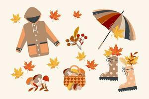 Raincoat, rubber boots, a basket with mushrooms and an umbrella on a background with autumn leaves and rowan. Autumn vector set, illustration