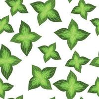 Basil seamless pattern. Endless pattern can be used for ceramic tile, wallpaper, textile, web page background. Vector cartoon illustration.