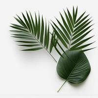 Palm branches in the corners, tropical plants decoration elements photo
