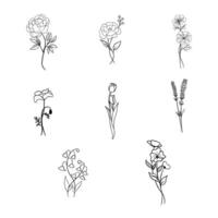 Set Of Flower Botanical And Leaf Doodle Line Art vector