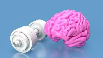The pink Brain and white dumbbell  for Brain training concept 3d rendering photo