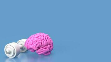 el rosado cerebro y blanco pesa para cerebro formación concepto 3d representación foto