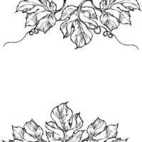 Hand drawn ink vector pumpkin leaf, vine, flower. Sketch illustration art Thanksgiving, Halloween, harvest, farming. Isolated square border frame. For restaurant menu print, cafe, website, invitation