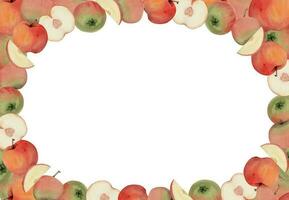 Hand drawn watercolor apple ripe fruits, full and slices, red and green. Circle round wreath Isolated on white background. Design for wall art, wedding, print, fabric, cover, card, invitation. vector